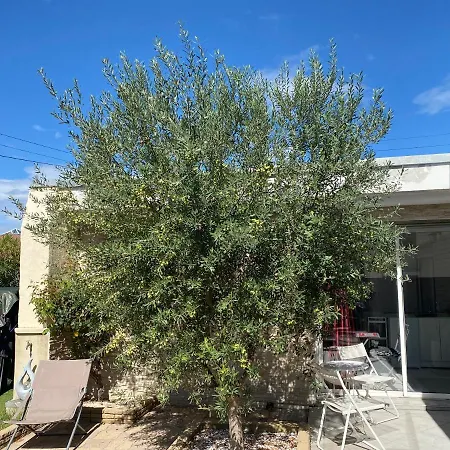 Apartment Nature Et *